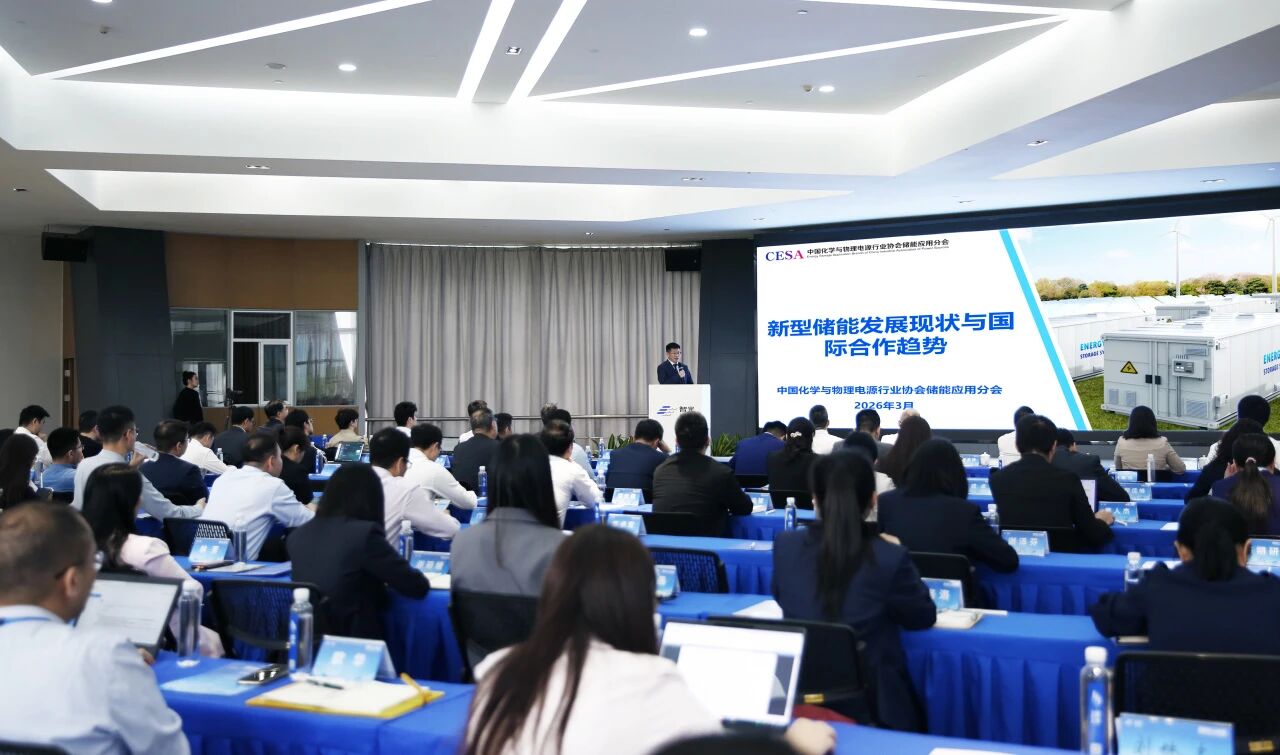 行业专家洞见 | pp电子游戏官方网站电气论坛聚焦新型储能高质量发展